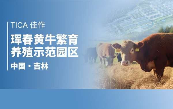天加佳作丨牛劲十足 天加低温空气源热泵助力珲春市肉牛产业高质量发展